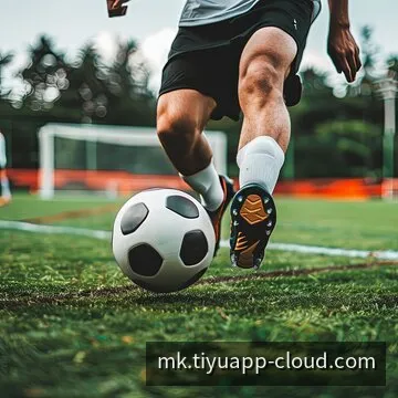 MK客户端官方下载二维码